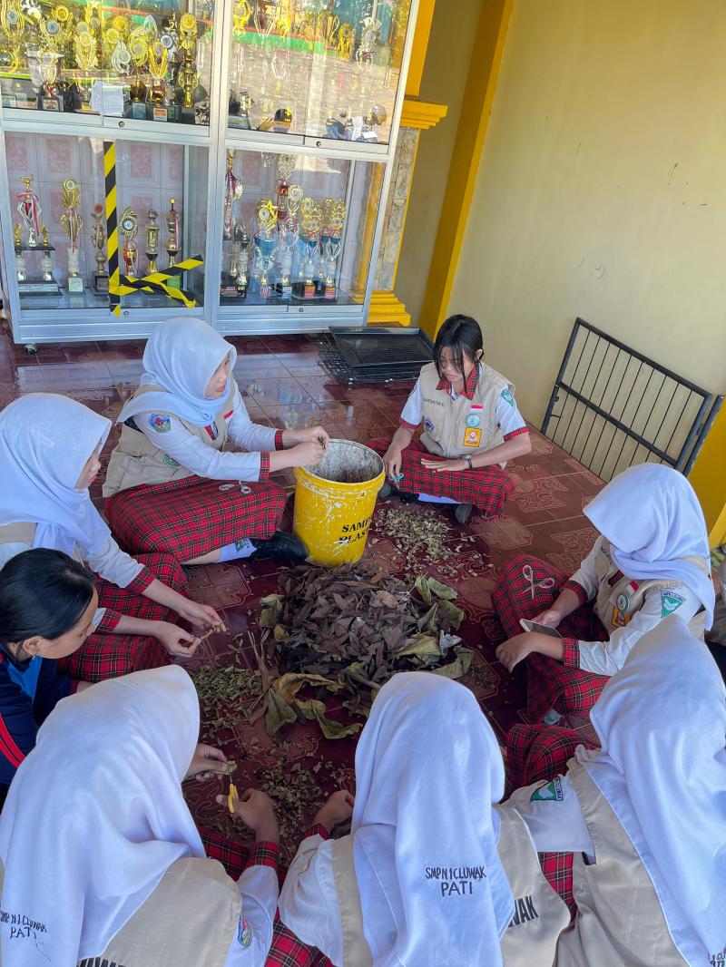 Siswa SMP Negeri 1 Cluwak Membuat Kompos Organik